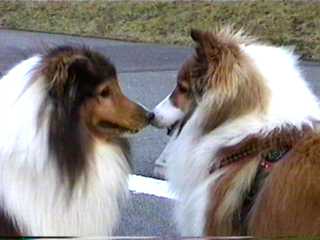 JIN����A���������Ȃ����ˁB