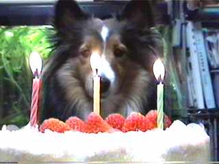 �܂邿���A���a�������߂łƂ��B