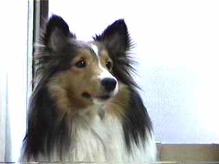 ���̊炪�؋��ł��B(��)