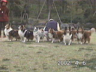 �ւɂȂ���������B(��)