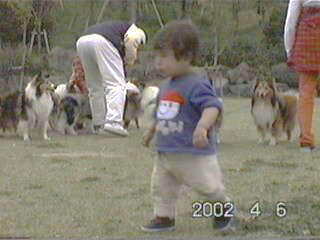 ��ѓ���̃{�N�B