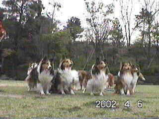 ��ѓ���̒j�̎q�i�E����Q�Ԗځj�B