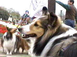 ���R������