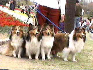 �܂邿��񂸁�i�����̓��I��������j