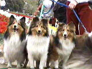 �܂�E�ꂨ�E�ށ[