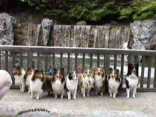 �͂��A�|�[�Y��