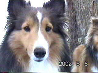 ���[����