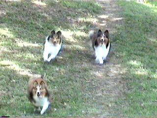 �T�X�K�I�A�C�h����