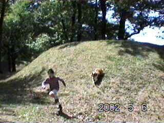 ���܂邿���o��!?