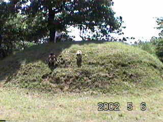 ����Ȃ̂����!?