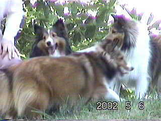 ���[�A���ꂽ��