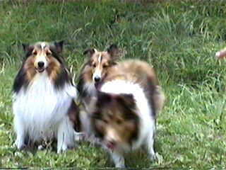 �������I