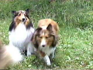 �킽�����[�I