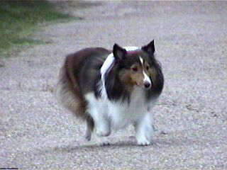 �Ă��Ă��B