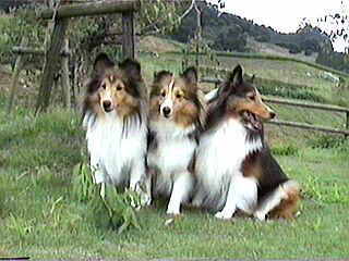 �h�R���Ă�́H