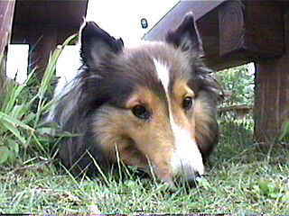 �������B�B�B