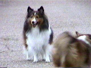 �ɂ������