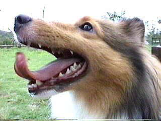 ����������܁�(by�ށ[)