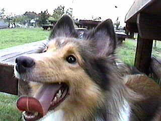 ����������܂��`��(by�ꂨ)