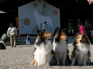 �l�����ς����ˁB