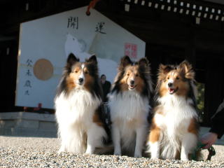 ��������O�[(^-^)g""