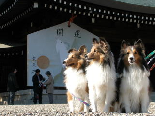 ����ł��A�܂�́E�E�E