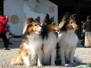 �����I����ā`�B