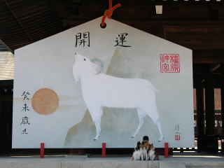 ���������˂��I�I