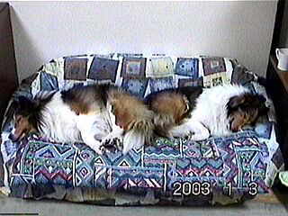 �i�[�ɂ���Ȃɔ�ꂽ�̂��H