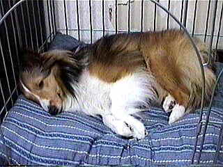 ���̕ǂ͌��Ȃ��łˁ�