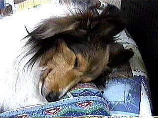 ���[���[���[�E�E�E