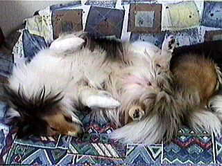 �}�@�A�n�V�^�i�C�E�E�E