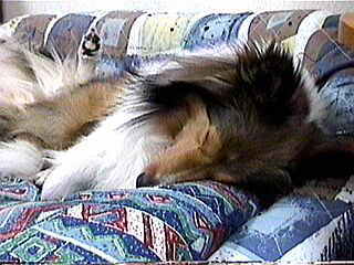 �X�s�`�X�s�`�B