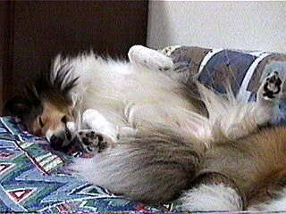 ����X���|�C���g�I�i�΁j