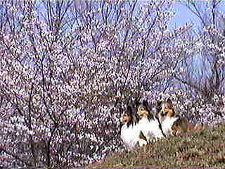 �킠�A�Ƃ��Ă��L���C���ˁ�