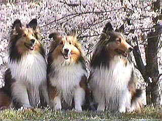 �|�J�|�J���˂���