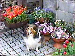 �����b�X�I�n�@�n�@�I