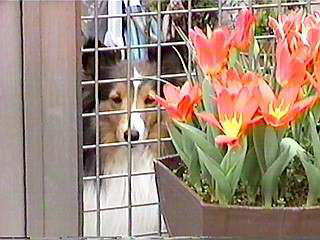 �o���Ă��`�I