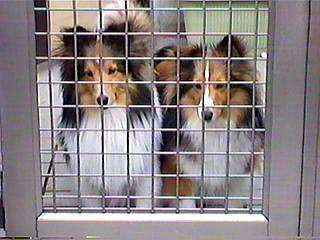 ���������Ă��J�`�I�I