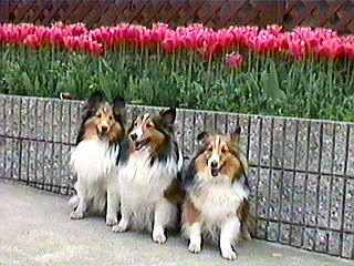 �����Č������Ă��_�����I