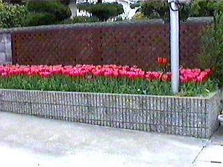 ���̐A���ւ��܂ł��̂܂܂ł��B(��)