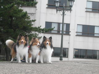 �͂��`�[�Y�I