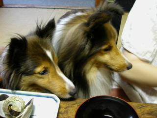 (���B��)�L���[��!!