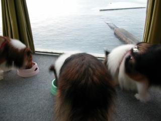 ������������������