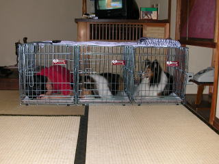 ���܂邿�������났���E�E�E