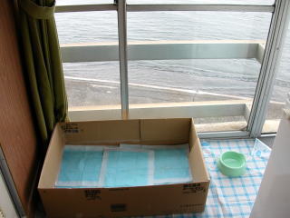 ���t���āu�I�V�g�C���i�΁j�v