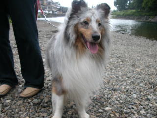 ���ݑ��̓}�}����B