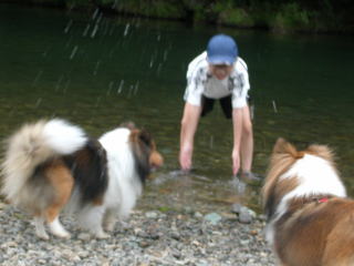 ��x�Ɠ���܂���ł����B(��)