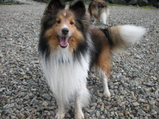 ���x�͉j���[�C�I