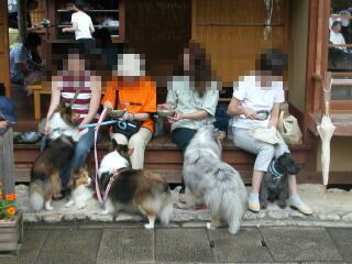 ������������������